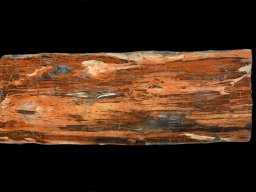 Designation of slabs 1 A Petrified Gem-Grade Rainbow table.